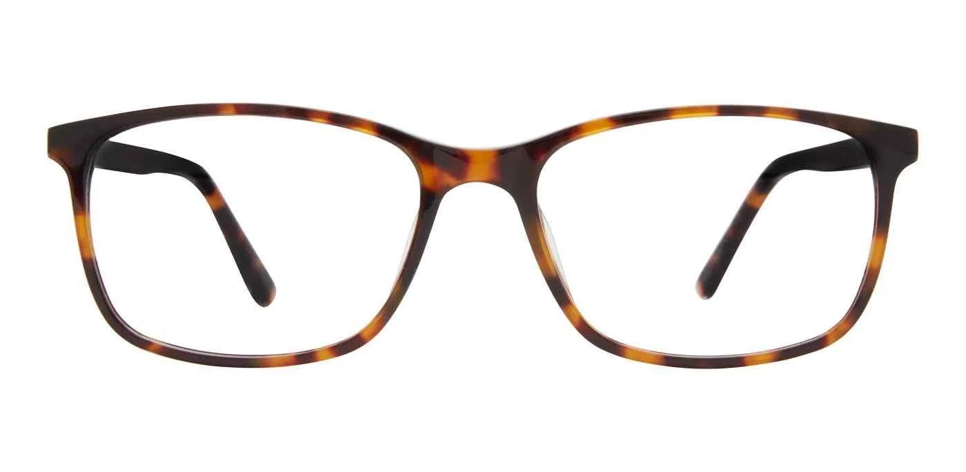 Adensco 130 Eyeglasses - Gray - view 17
